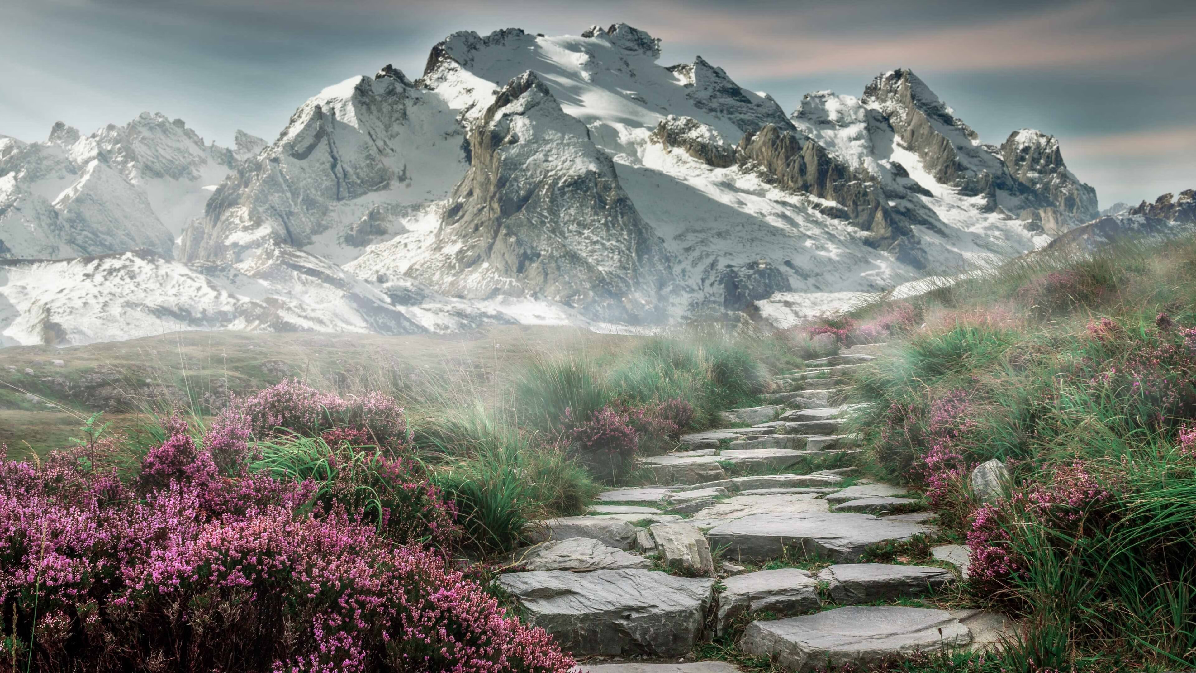 明日方舟引星棘刺有哪些技能-明日方舟棘刺强在哪